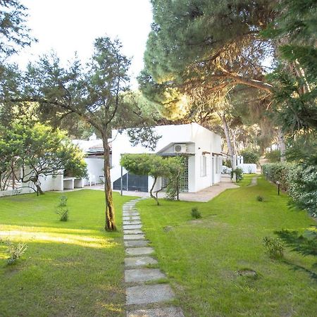 Villa Eucalipto Valledoria  Eksteriør bilde